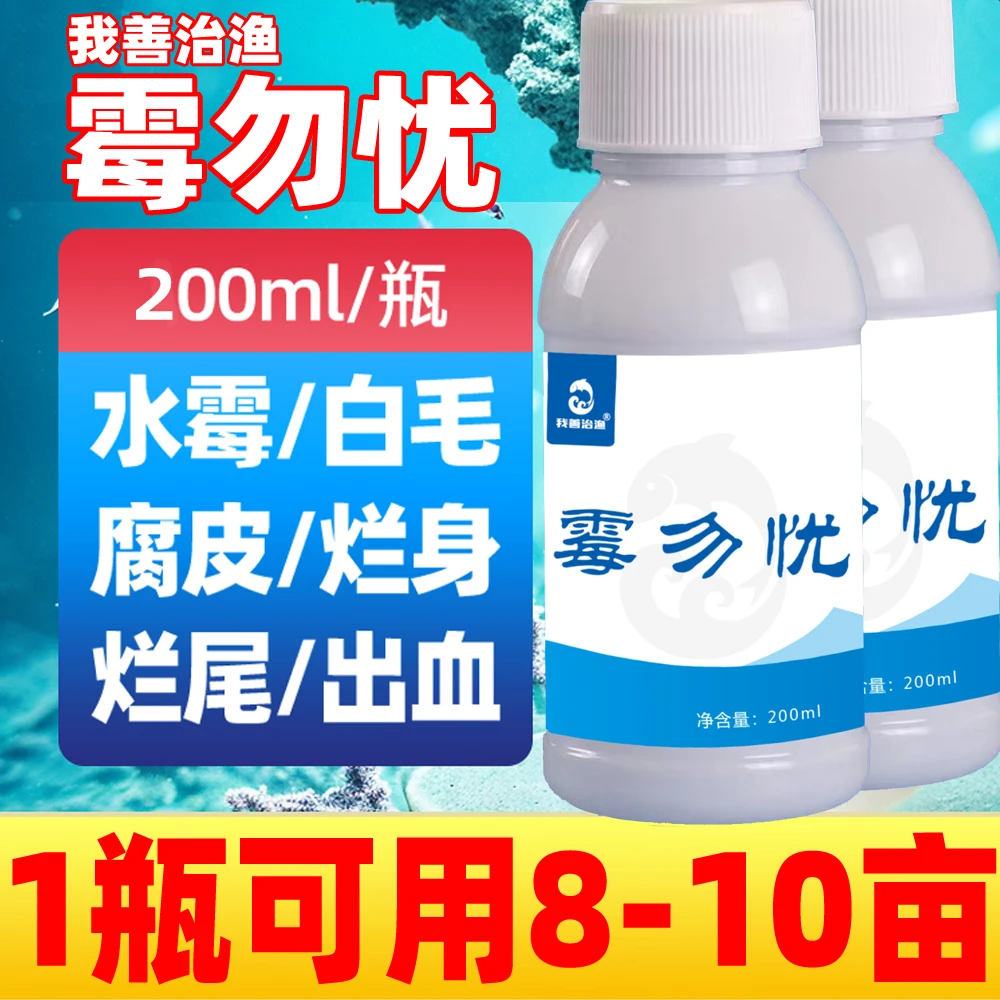 霉勿忧水产养殖专治水霉病克星杀菌消毒烂身烂鳃白毛腐皮
