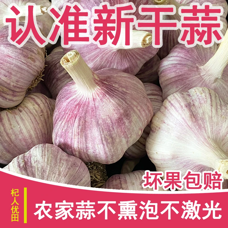 【特大果】新干蒜产地直发新干大蒜大蒜头紫白皮河南大蒜3斤5斤9斤