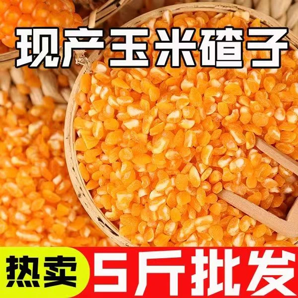 5斤特价】东北黏碴子黄金糯玉米碴子米饭伴侣糯玉米大碴子批发100g