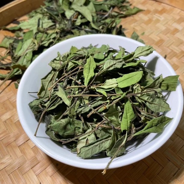 2024年抛荒春寿眉·福鼎白茶散茶·福鼎白茶