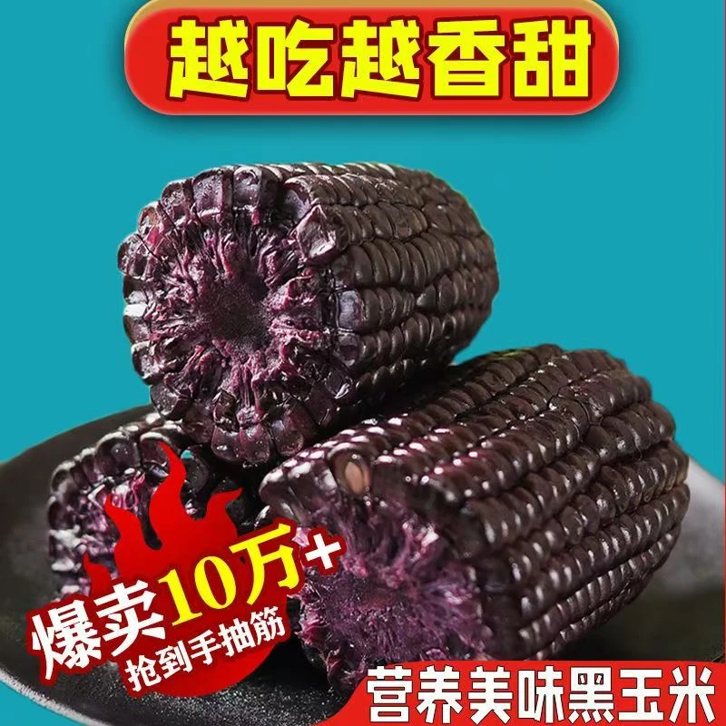 买三斤送三斤】黄羊河头茬新鲜黑糯玉米软糯香甜包邮带箱6斤L