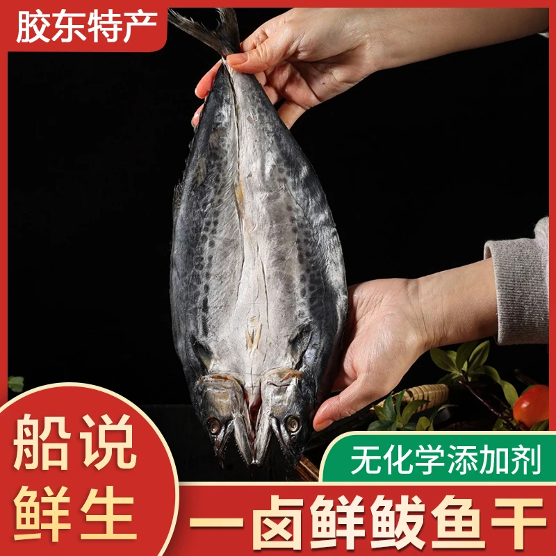 船说鲜生 鲅鱼干 胶东特产一卤鲜鲅鱼干4成干 海鲜干货新鲜晾晒