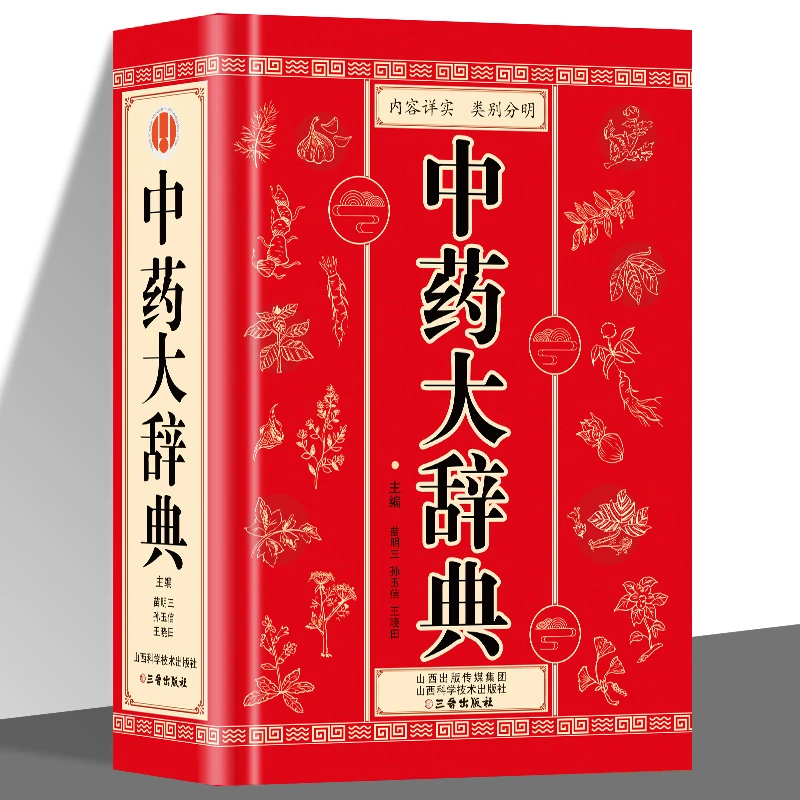 正版 中药大辞典 医学古籍药典书常见病诊断与用药 临床用药手册