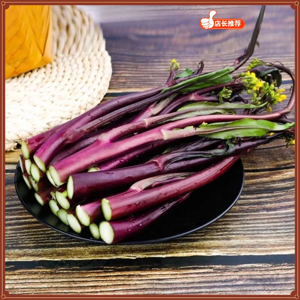 现摘现发农家自种湖北新鲜红菜苔紫菜苔霜打红油紫菜时令蔬菜批发