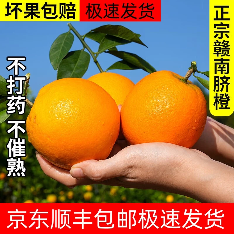 【果泉甄选】正宗赣南脐橙净重5斤