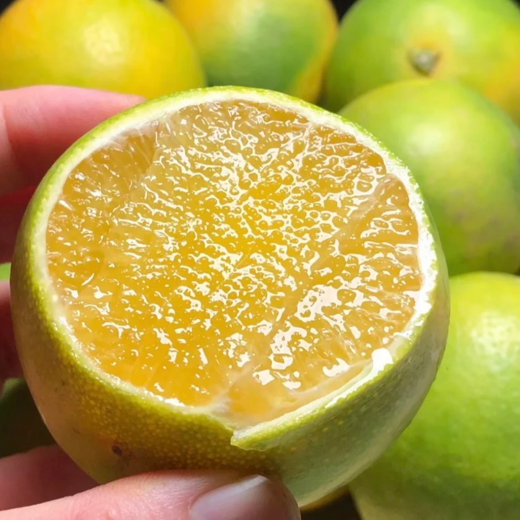 云南玉溪哀牢山冰糖橙玉溪新鲜现摘甜橙整箱礼盒爆汁水果榨汁