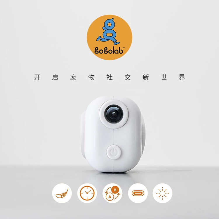 gogolab宠物社交投影灯社牛灯夜遛灯可定制图案专属头像设计