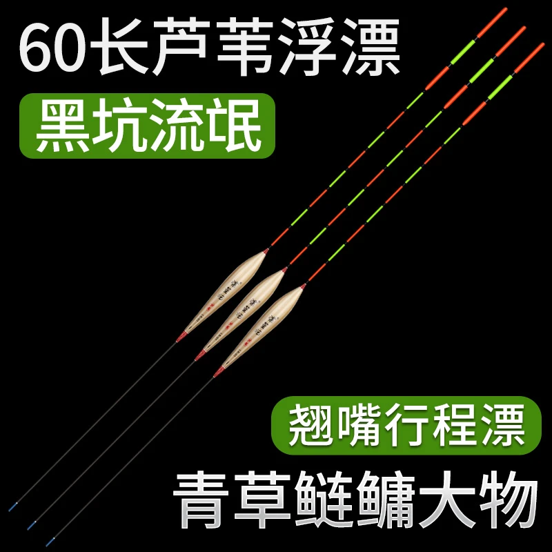 黑坑芦苇大物漂加粗醒目抗走水珠珠行程鱼漂青草鲢鳙远投流氓浮漂