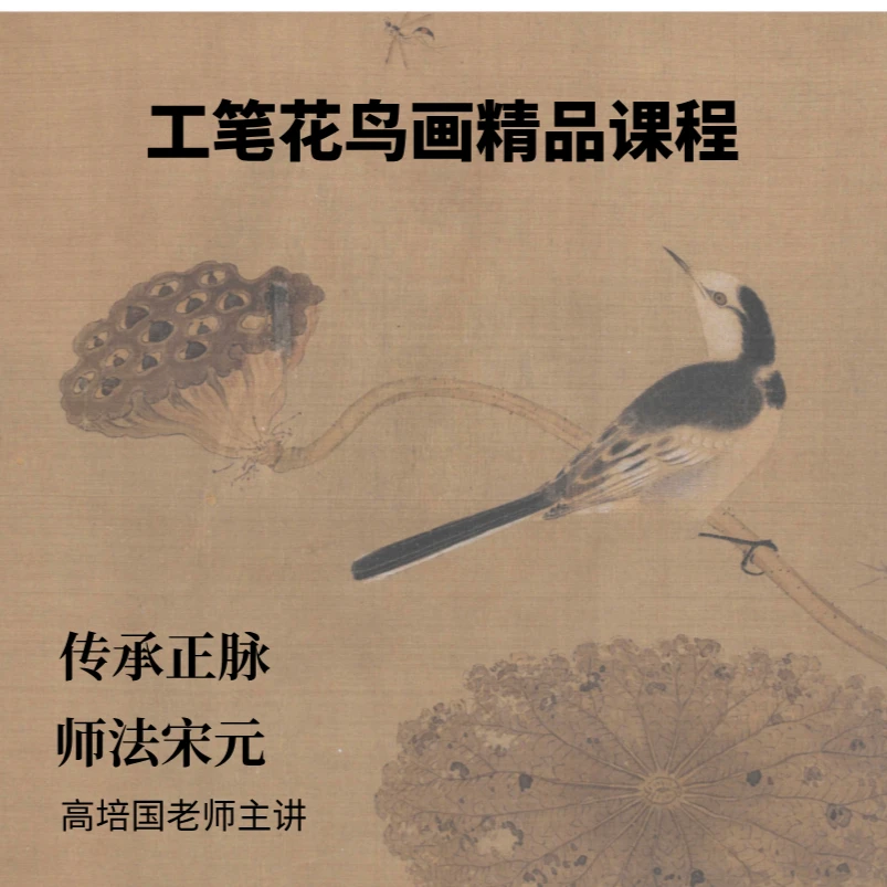 工笔花鸟画精品课程（留意短信解锁课程）
