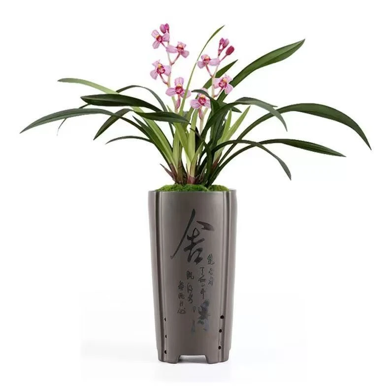 紫砂花盆陶瓷兰花专用盆中国风室内绿植君子兰吊兰文竹透气盆景盆