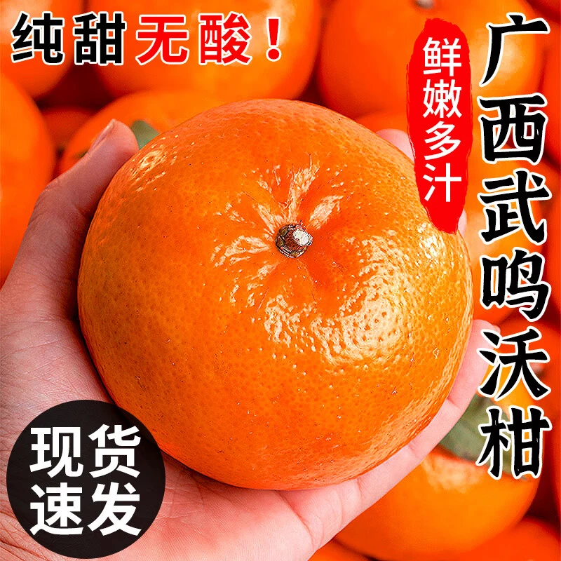 广西武鸣新鲜沃柑橘子柑橘新鲜水果沃柑砂糖蜜橘冰糖橘纯甜桔子