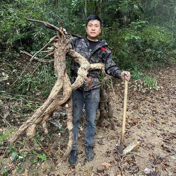 农村小松传承传统工艺手工制作天然农家无添加野生葛根粉代餐500g