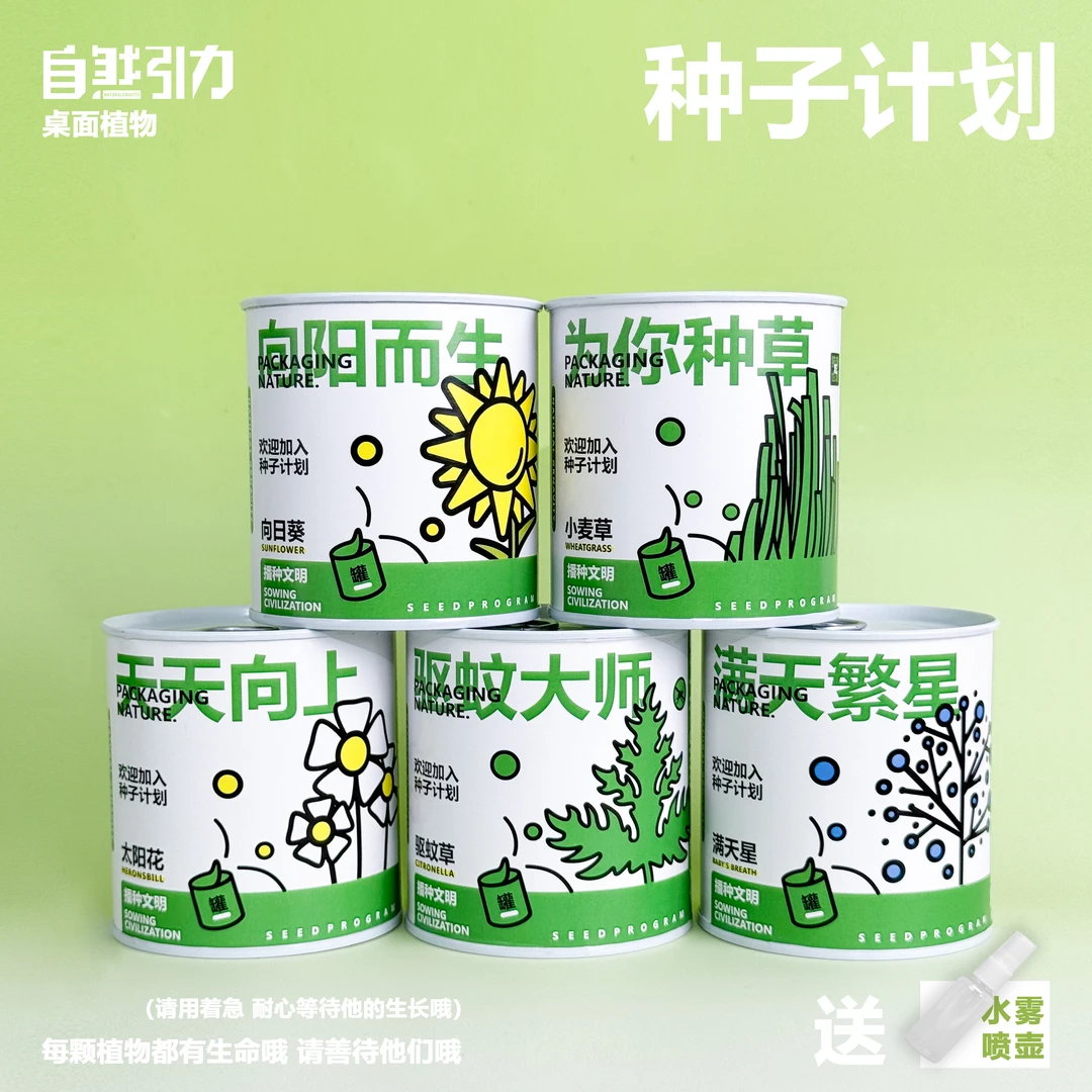 自然引力-罐头植物桌面绿植趣味向日葵太阳花小麦草种子室内种草