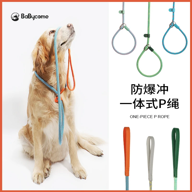 狗狗p绳柯基牵引绳遛狗绳子防爆冲防挣脱小中大型犬专业训犬p字链