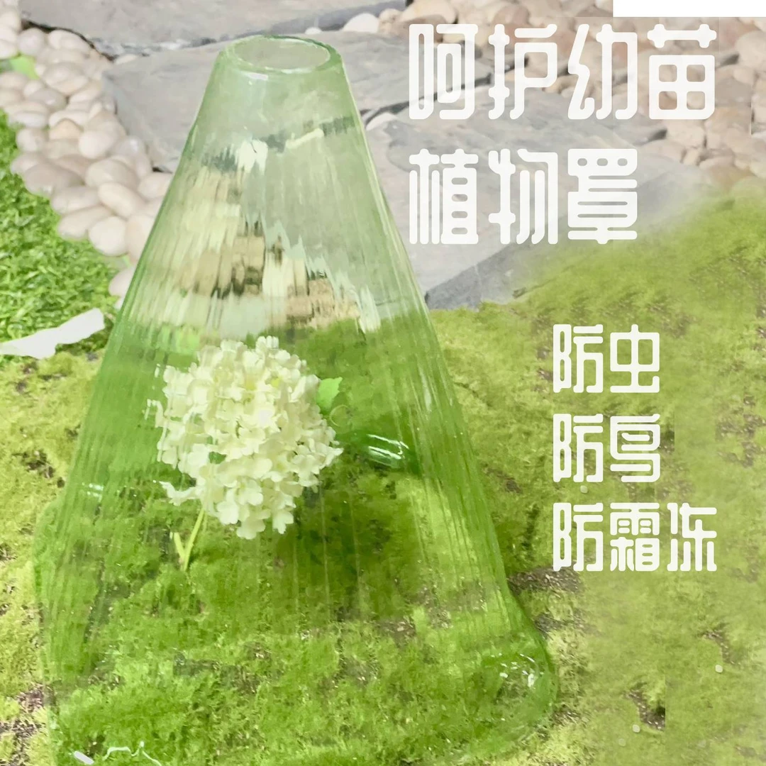 植物钟罩保护植物免受透明色可重复园艺用品