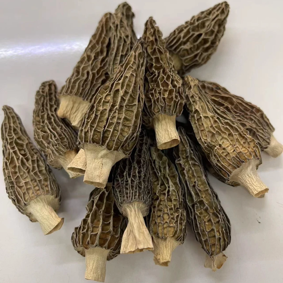 云南小野生羊肚菌干货