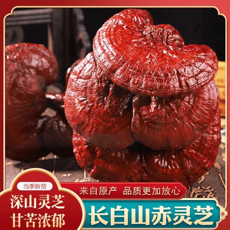 优质长白山红灵芝整枝林下赤灵芝黑灵芝东北特产煮水泡酒专用
