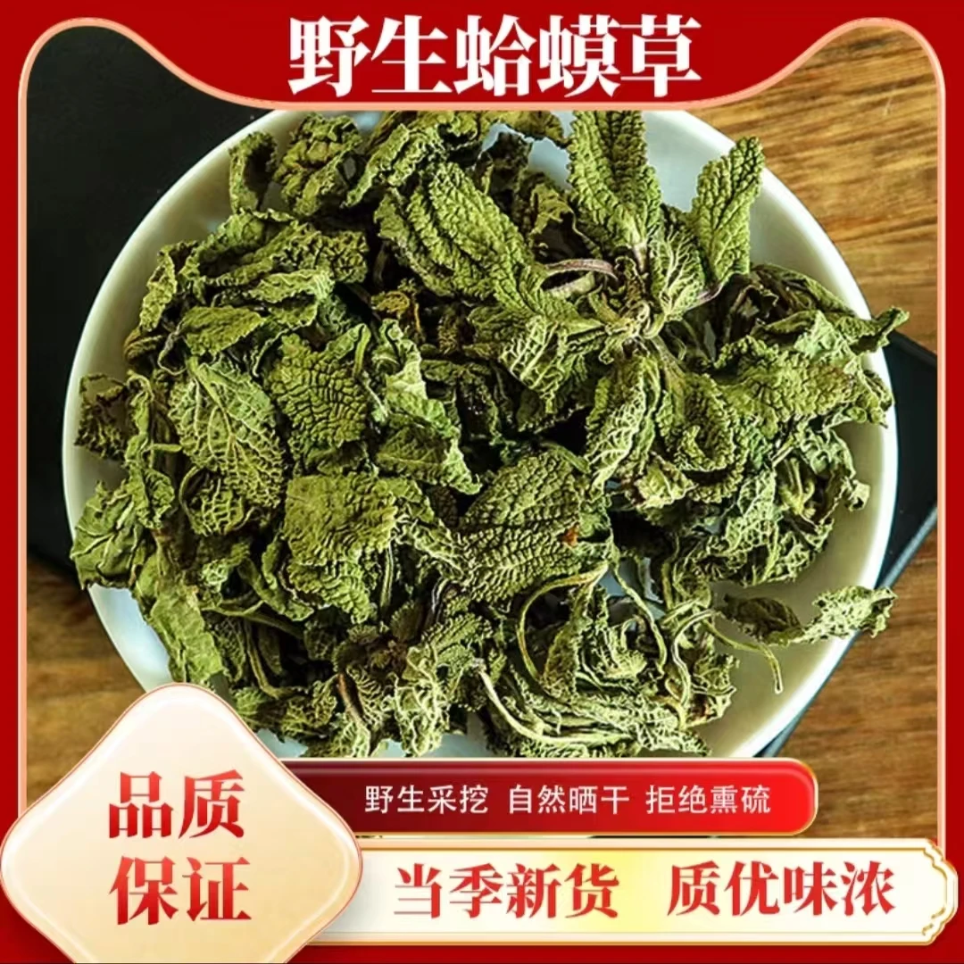 现挖去杂草蛤蟆草材500g癞蛤蟆草新鲜干货散装荔枝草哈蟆草泡水喝