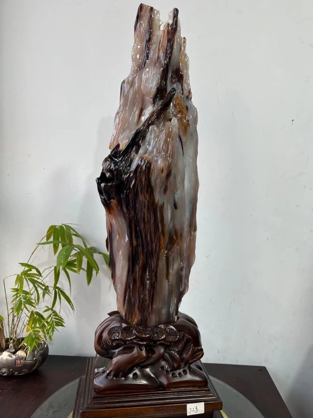 超值精美树化硅化玉硅化木奇石摆件