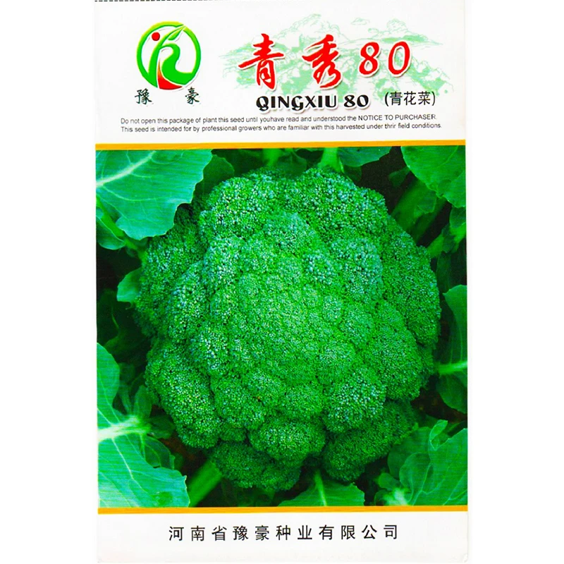 豫豪研清秀80西兰花种子苗场专供绿色播蔬菜大面积种植优质花菜籽