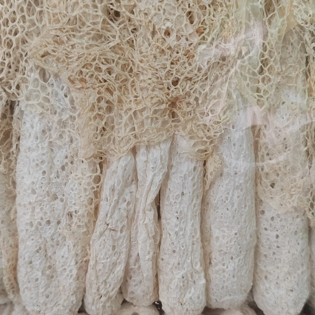 竹荪干货 食用菌生态竹荪农产品特产菌 鲜香浓郁煲汤食材营养