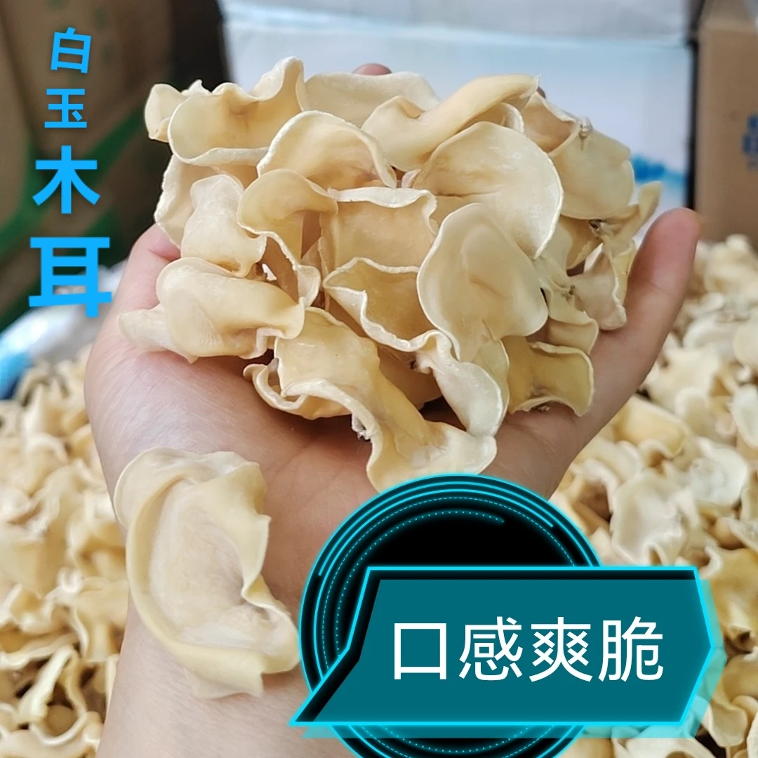 东北干货白玉木耳肉厚泡发率高晶莹剔透口感爽脆凉拌炒菜