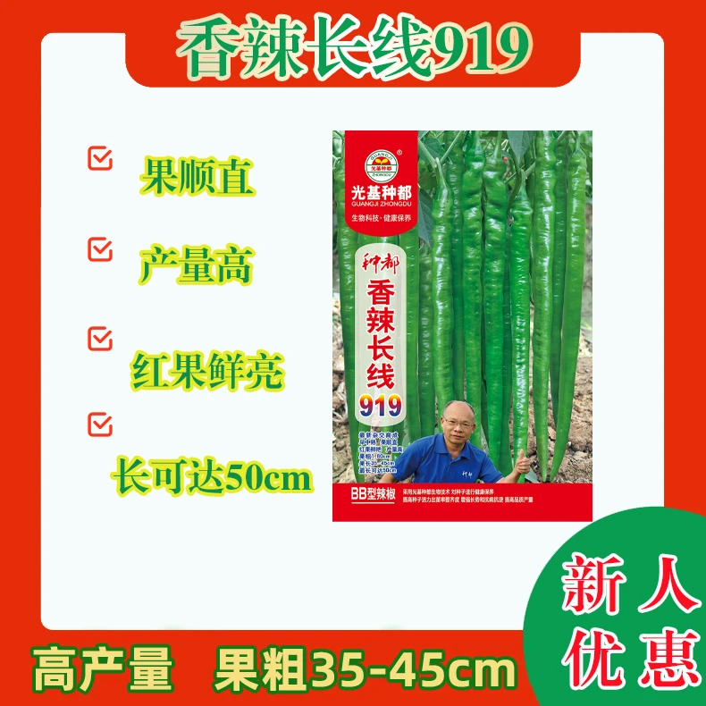 绿色线椒种子 辣度适中 果长可达35-45度 膨大速度快 产量高