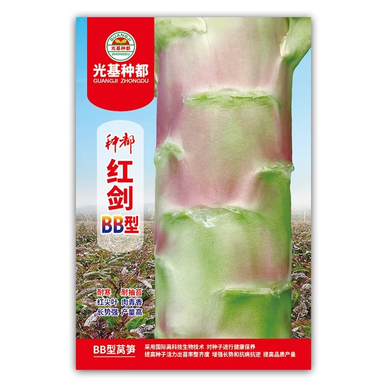 耐寒 红尖叶紫皮四季种植精品莴笋种子  红剑BB型种子10g