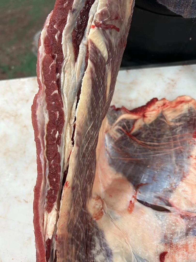 草膘牦牛 牛腩 4斤炖红烧 江苏发货