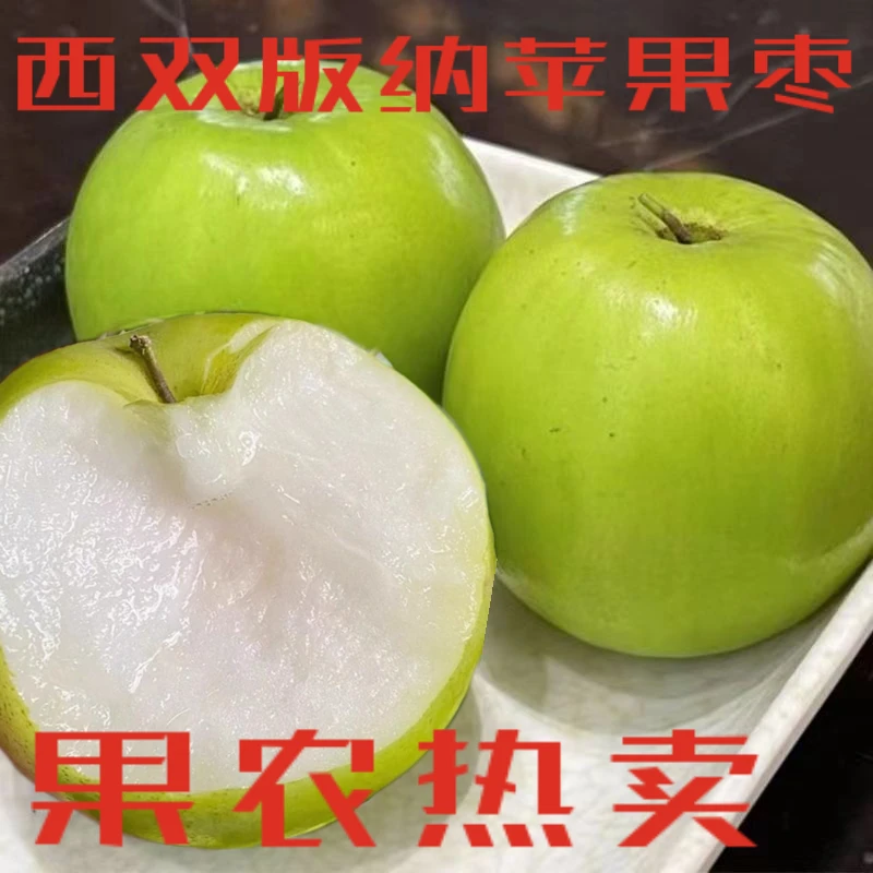 云南西双版纳热带苹果枣甜脆汁多当季新鲜水果非大青枣牛奶枣蜜枣