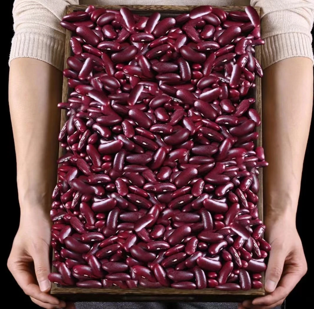 农家自己种红豆营养美味，颗粒饱满精选，自产自销售，绿色膳食