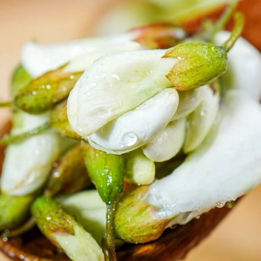 【顺丰包邮】2024新鲜洋槐花现摘花骨朵