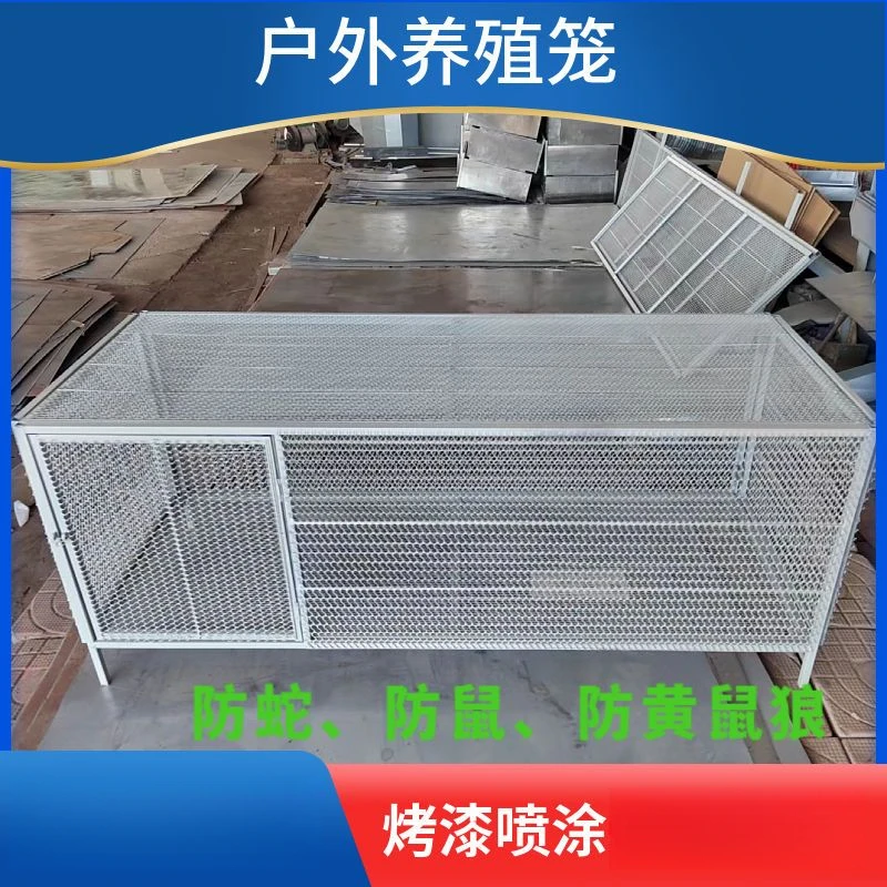 鸡笼鸽笼兔笼家禽笼防鼠防蛇防黄鼠狼冲孔网大号家用养殖厂家直销