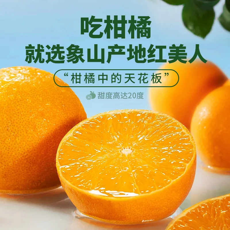 【严选品质】象山红美人皮薄汁多礼盒装新鲜采摘果冻橙子橘子特产