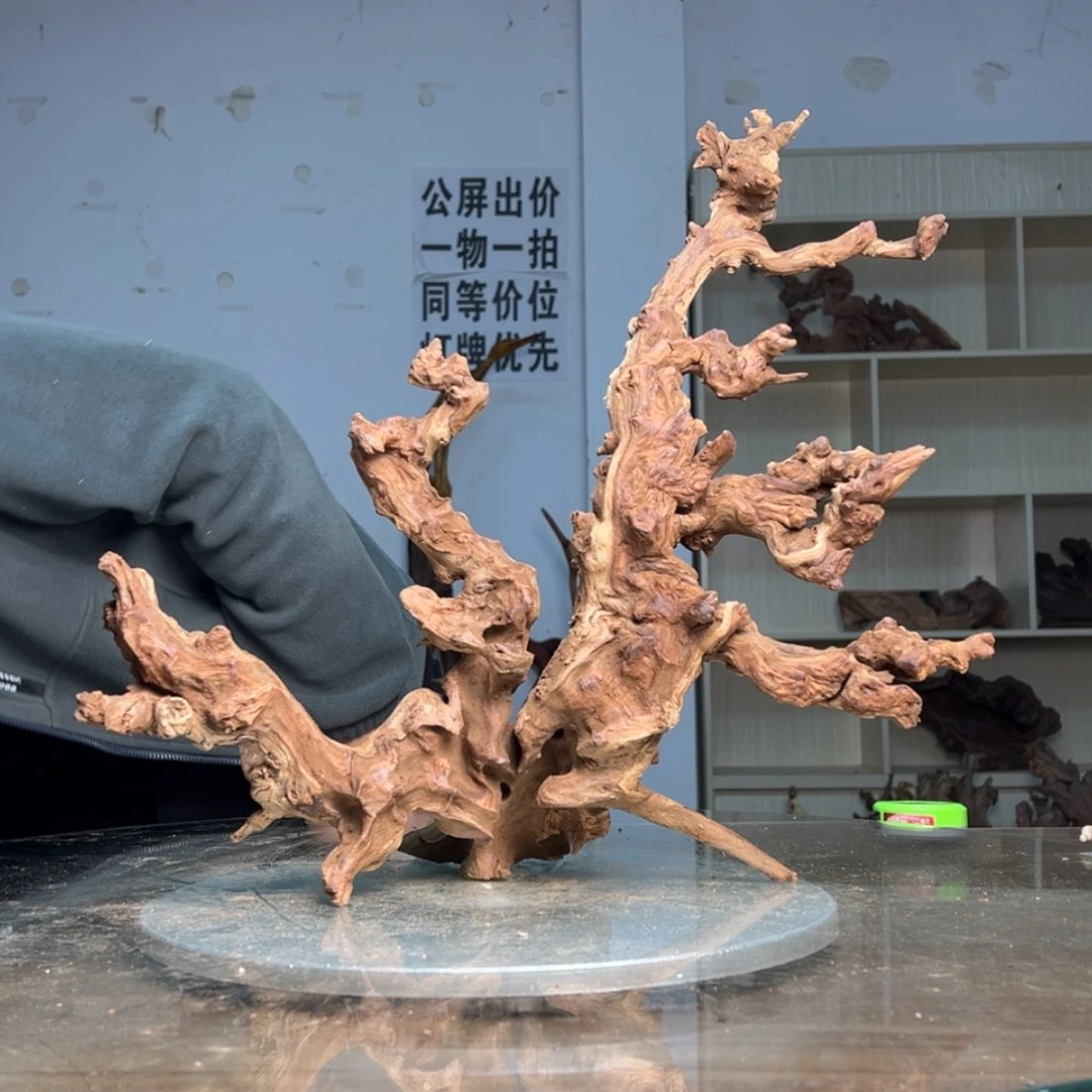 【闪购商品】陶瓷摆件萌****店005