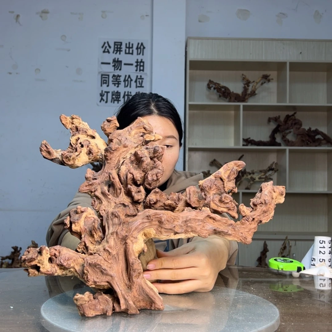 【闪购商品】密胺摆件明**好510