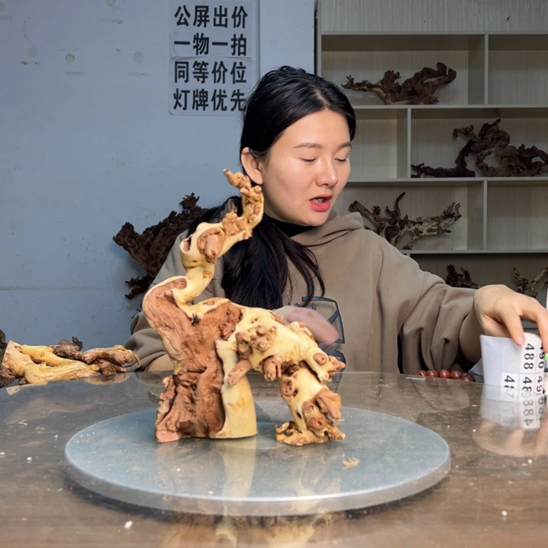 【闪购商品】密胺摆件簕**院487