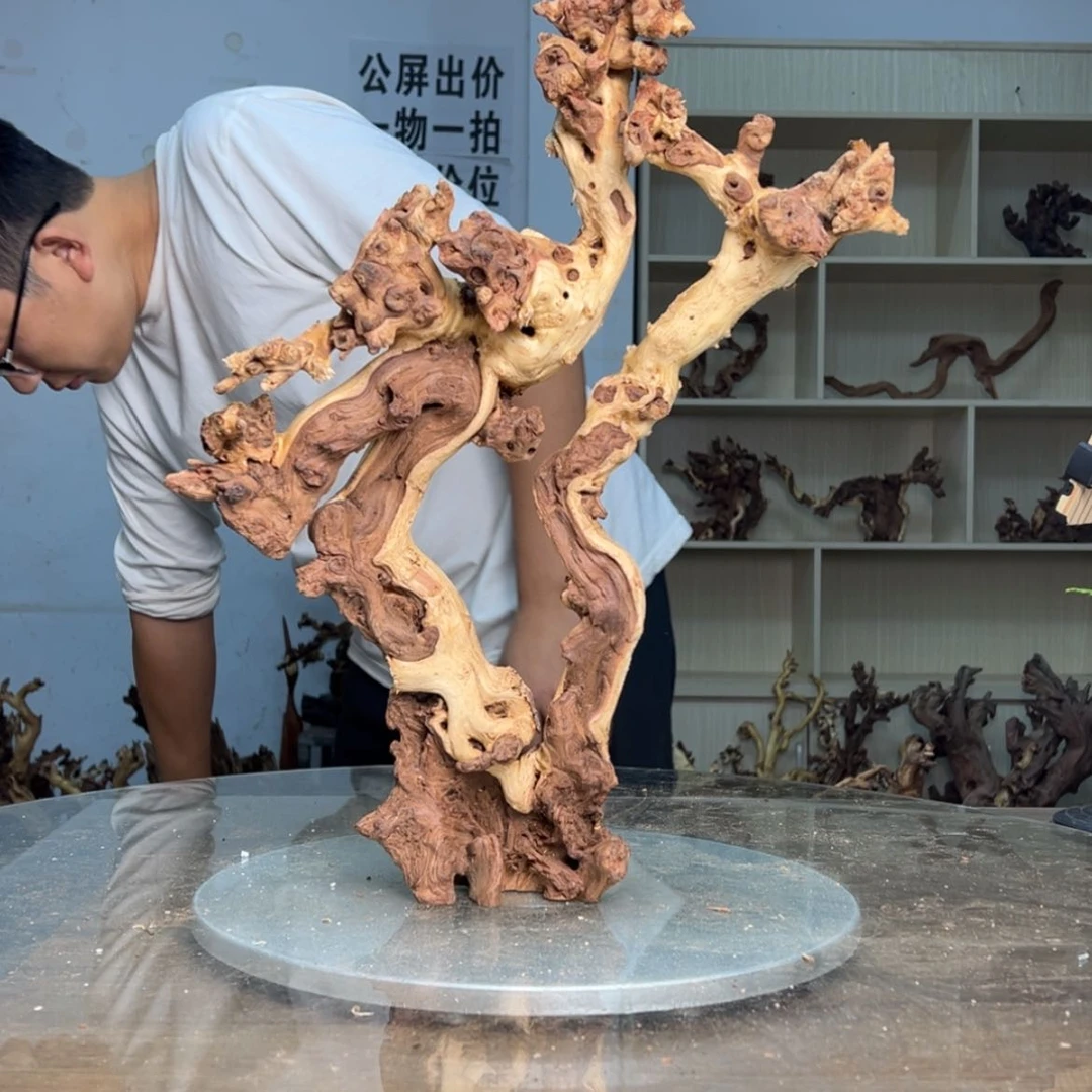 【闪购商品】陶瓷摆件大**鹰374