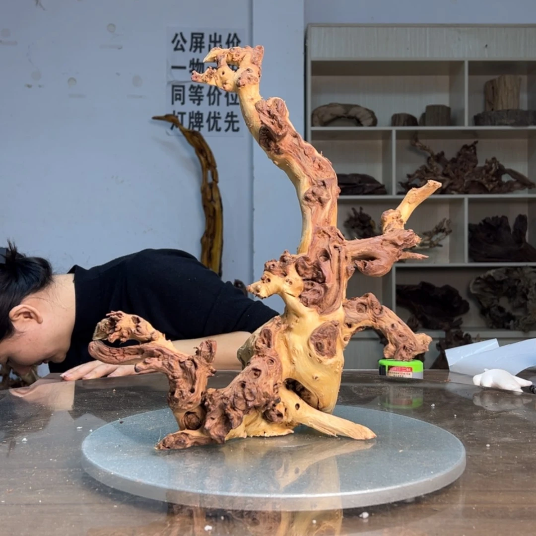 【闪购商品】密胺摆件祥**讯669