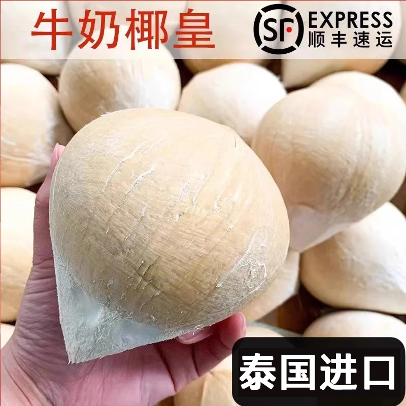 泰国牛奶椰皇椰子肉新鲜奶椰水果整箱孕妇6-10个椰青椰宝顺丰包邮