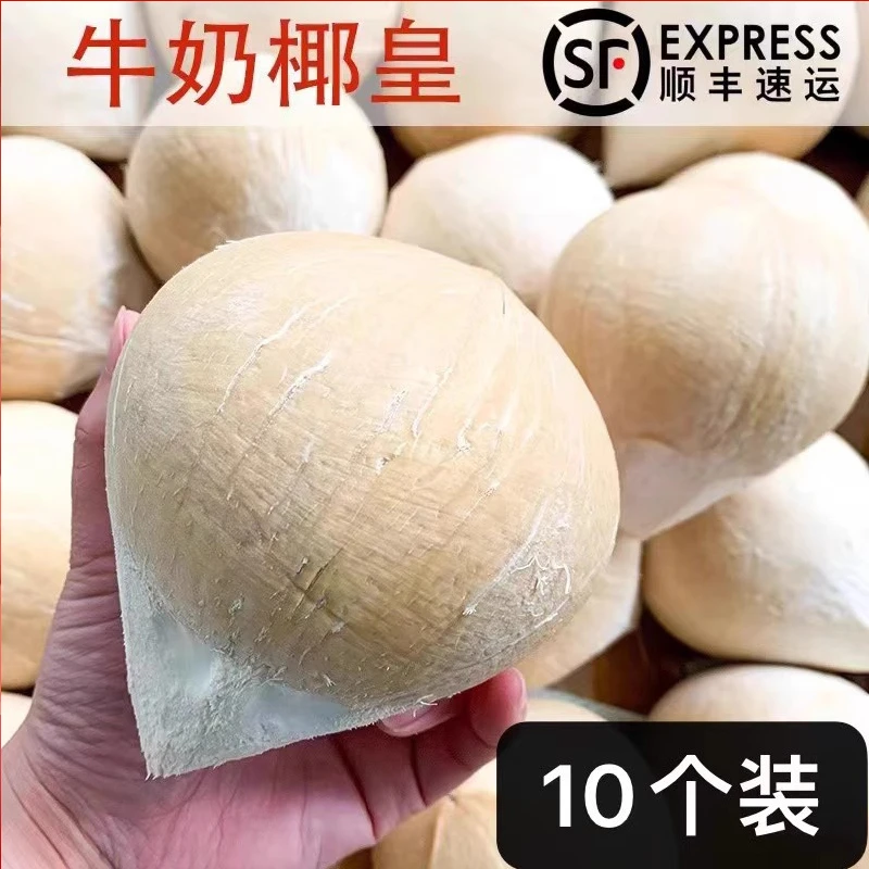 泰国牛奶椰皇椰子肉新鲜奶椰6水果整箱当季孕妇10个椰青椰宝顺丰