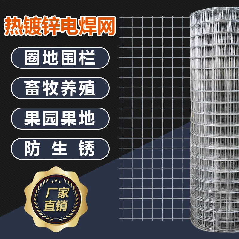 小2孔方孔热镀锌电焊网防黄鼠狼麻雀隔离网防护网防腐防锈优质