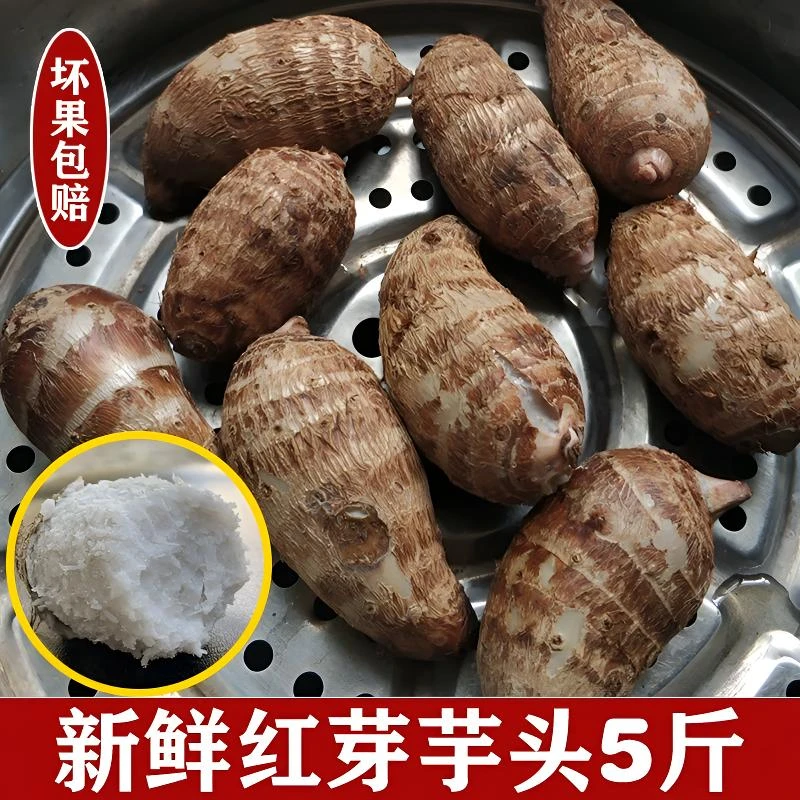 广西红芽小芋头新鲜现挖产地直发粉糯小芋头农家自种芋艿蒸煮食用