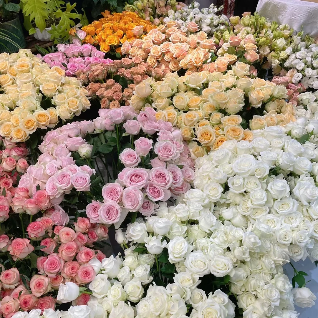 【套餐专拍链接】鲜切花家居鲜花水养  1单包邮