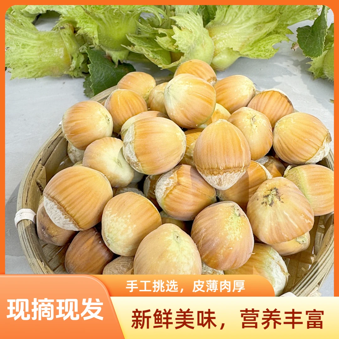 东北榛子新鲜2024水仁满瓤脱皮现采现发手工剥绿皮青榛子包邮自家