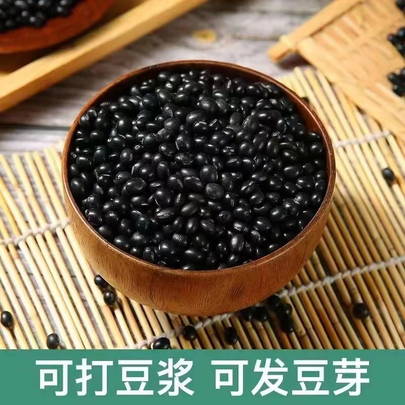 芳芳农场自产自销湖南本地新黑豆