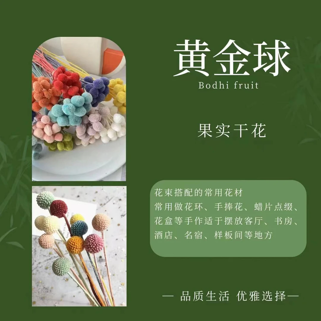 【黄金球】北欧软装家居装饰客厅摆设真花永生花干果天然