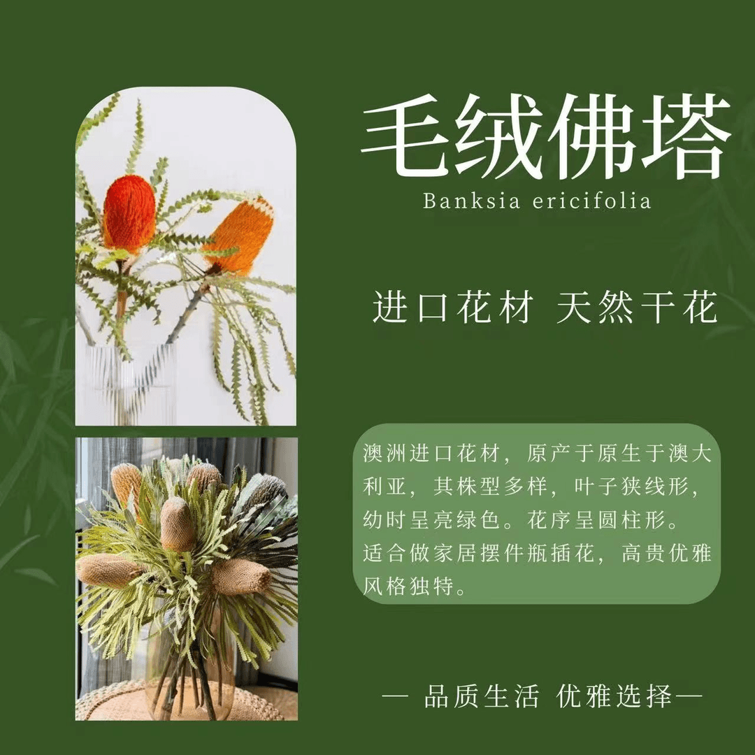 【佛塔定制链接C】进口天然真花班克木植物干花北欧风简约百搭插花