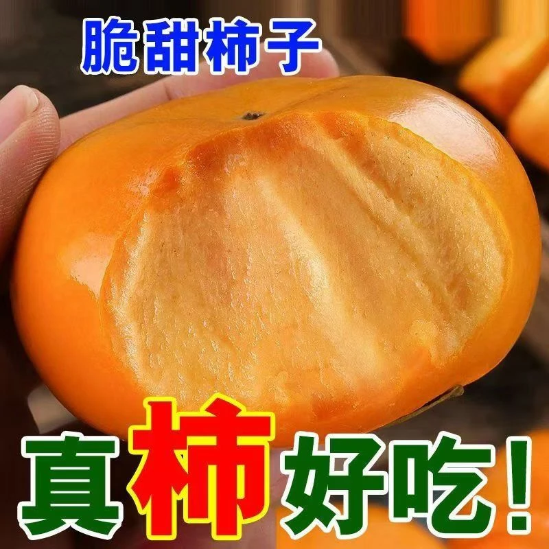 脆甜柿子现摘新鲜应季脆柿子水果一整箱批发