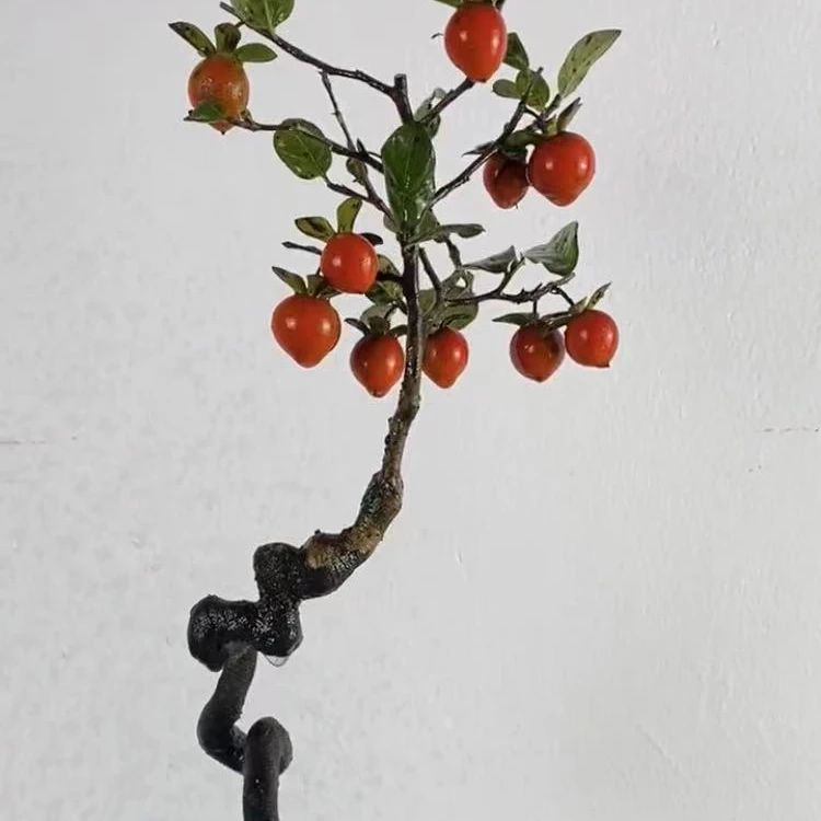 一物一拍盆景200-500